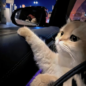 日韩最新中文字幕
